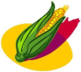 Sweetcorn Pancakes with Poached Free Range Eggs and Hollandaise Sauce - Stir it up Magazine