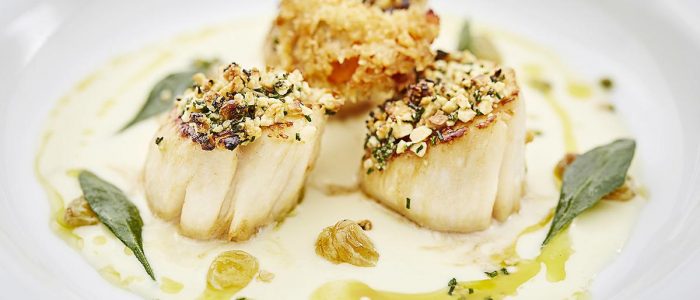 Roast scallop with a hazelnut crust and cauliflower velouté - Stir it up Magazine