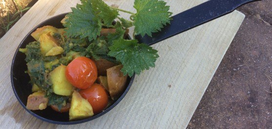 Nettle Aloo - Stir it up Magazine