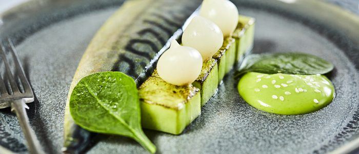 Dill Cured Mackerel - Stir it up Magazine